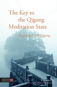 Cover image: The Key to the Qigong Meditation State 9781848192324