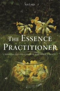 Cover image: The Essence Practitioner 9781848192508
