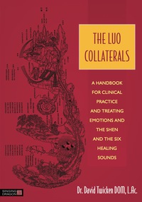 Cover image: The Luo Collaterals 9781848192300