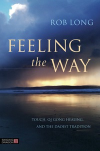 Imagen de portada: Feeling the Way 9781848192980