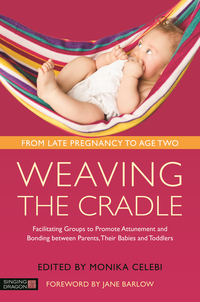 Omslagafbeelding: Weaving the Cradle 9781848193116