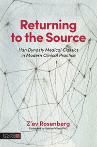 Cover image: Returning to the Source 9781848193482