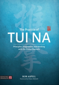 表紙画像: The Practice of Tui Na 9781848194120