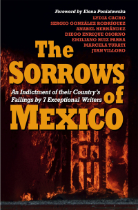 Cover image: The Sorrows of Mexico 9780857056221