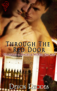 Cover image: Through the Red Door 1st edition 9780857151698