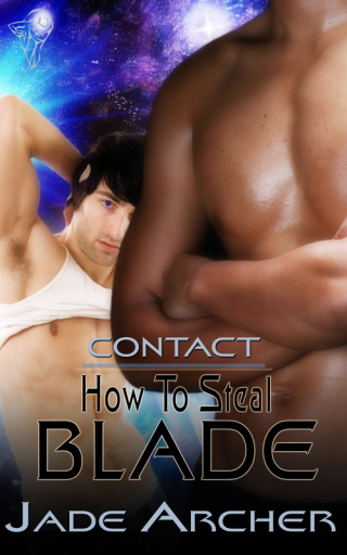 Cover image: How to Steal Blade 1st edition 9780857152961