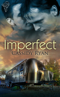 Cover image: Imperfect 1st edition 9780857155153