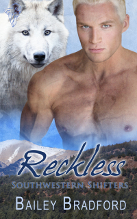 Cover image: Reckless 1st edition 9780857154347