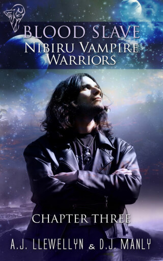 Cover image: Nibiru Vampire Warriors: Chapter Three 1st edition 9780857155641