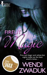 Cover image: Firelit Magic 9780857156709