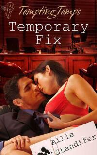 Cover image: Temporary Fix 1st edition 9780857157188