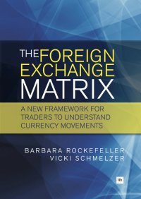 Imagen de portada: The Foreign Exchange Matrix 1st edition 9780857191304