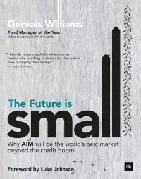 Cover image: The Future is Small 1st edition