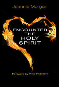 Cover image: Encounter the Holy Spirit 1st edition 9780857211682