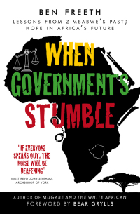 Cover image: When Governments Stumble 1st edition 9780857213747