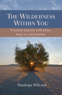 Cover image: The Wilderness within You 9780857214973