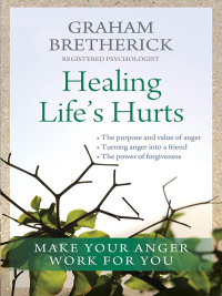 Cover image: Healing Life's Hurts 1st edition 9781854248749