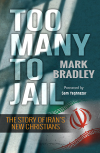 Cover image: Too Many to Jail 1st edition 9780857215963