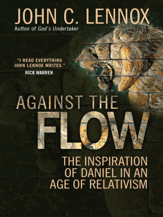 صورة الغلاف: Against the Flow 1st edition 9780857216212