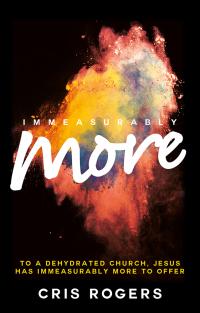 Cover image: Immeasurably More 1st edition 9780857216373