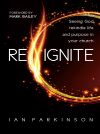 Imagen de portada: Reignite 1st edition 9780857216694