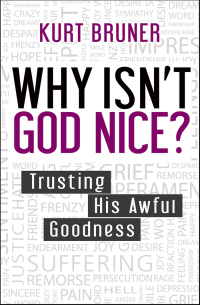 Imagen de portada: Why Isn't God Nice? 9780857216724