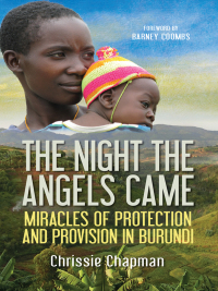 Omslagafbeelding: The Night the Angels Came 1st edition 9780857217226