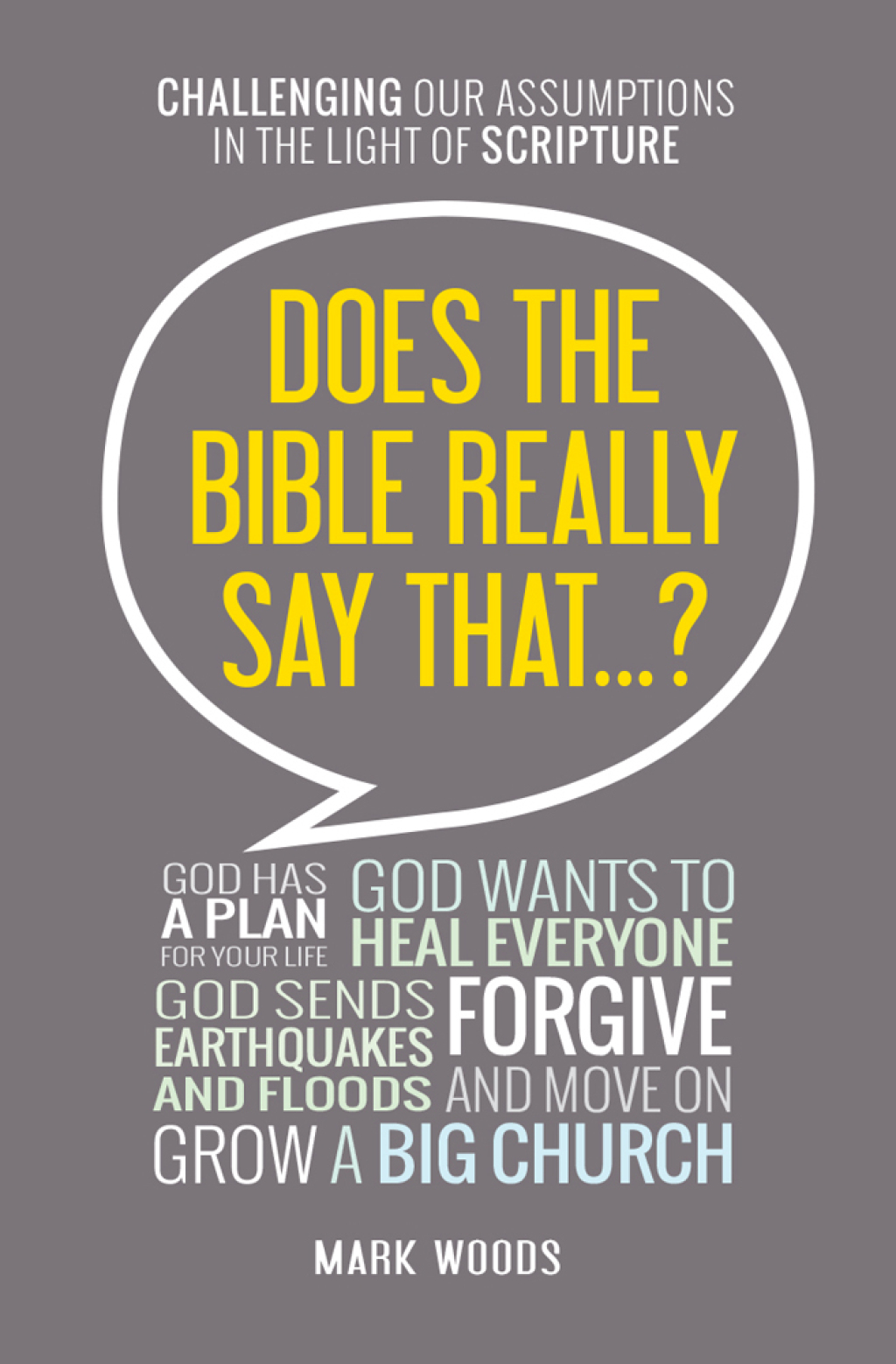 Does the Bible Really Say That  1st Edition eBook