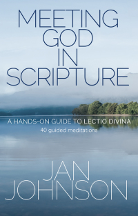 Cover image: Meeting God in Scripture 9780857218056