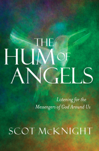 Cover image: The Hum of Angels 9780857218599