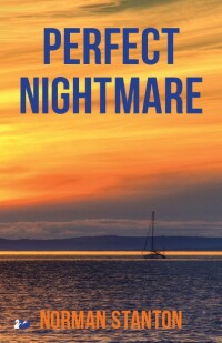 Cover image: Perfect Nightmare 1st edition 9780857283467