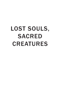 Imagen de portada: Lost Souls, Sacred Creatures 1st edition 9780857281289