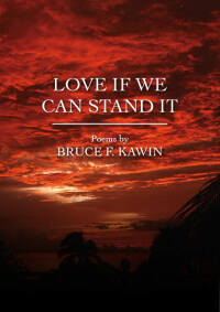 Cover image: Love If We Can Stand It 1st edition 9780857289216