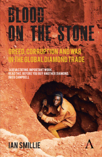 Cover image: Blood on the Stone 1st edition 9780857289636