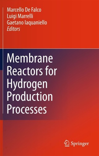Imagen de portada: Membrane Reactors for Hydrogen Production Processes 9780857291509