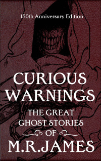 Cover image: Curious Warnings 9780857388049
