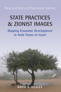 Titelbild: State Practices and Zionist Images 1st edition 9780857459060