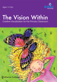 Omslagafbeelding: The Vision Within 2nd edition 9781905780730