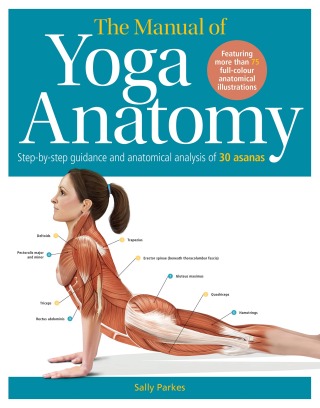 صورة الغلاف: The Manual of Yoga Anatomy 9780857625182