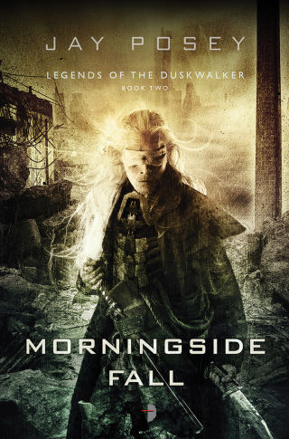 Cover image: Morningside Fall 9780857663658