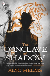 Cover image: The Conclave of Shadow 9780857665188