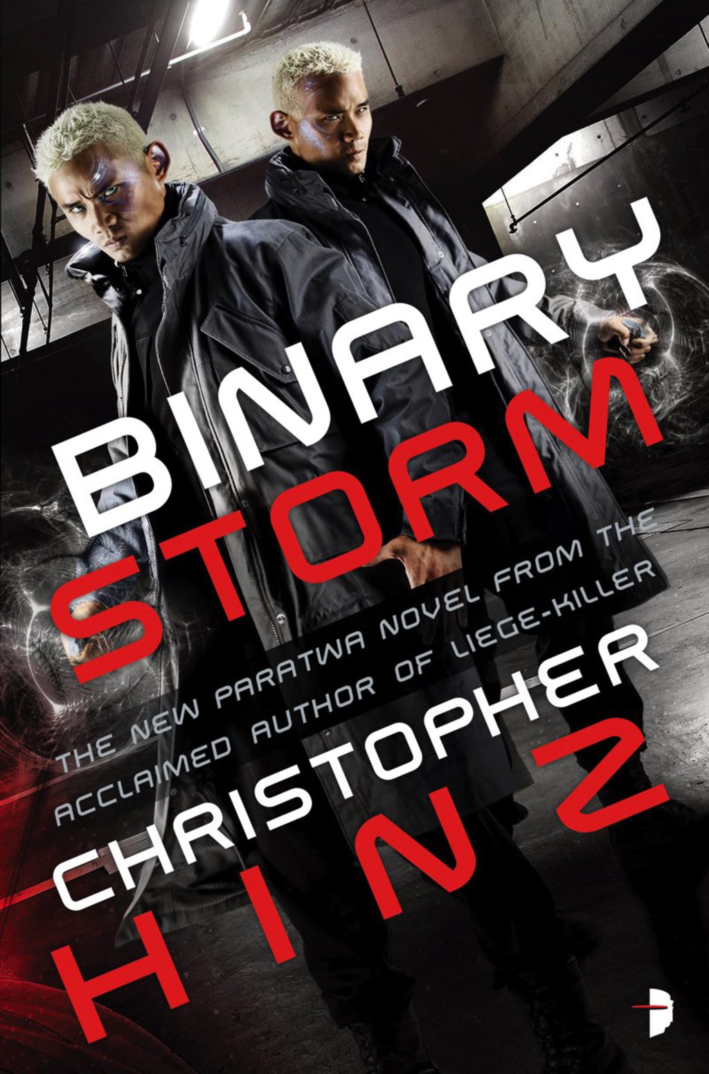 Binary Storm (eBook)