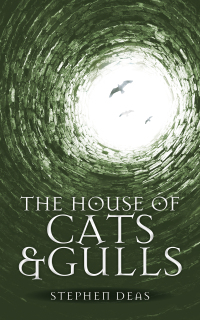 Cover image: The House of Cats and Gulls 9780857668783