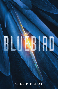 Cover image: Bluebird 9780857669667