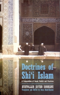 Immagine di copertina: Doctrines of Shi'i Islam 1st edition 9781860647802