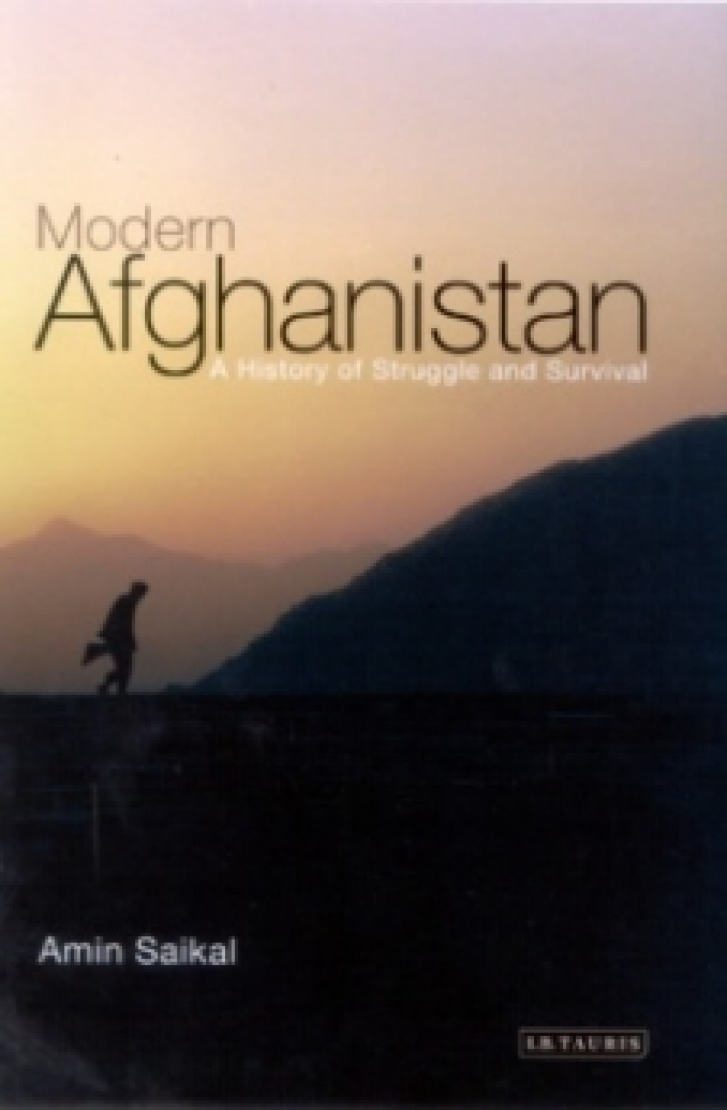 Modern Afghanistan A History of Struggle and Survival 1st Edition