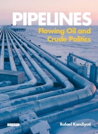 Cover image: Pipelines 1st edition 9781848858398