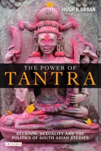 Omslagafbeelding: The Power of Tantra 1st edition 9781845118747