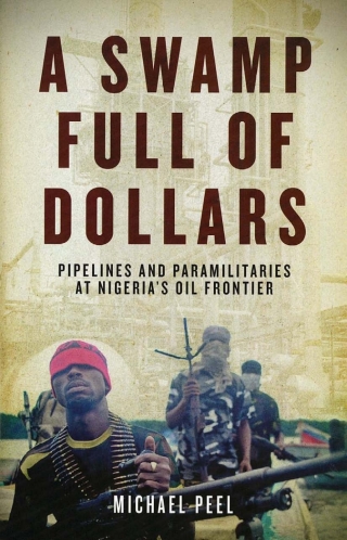 Imagen de portada: A Swamp Full of Dollars 1st edition 9781848858404