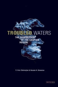 Immagine di copertina: Troubled Waters 1st edition 9781860649226
